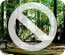 Closure at Memorial Park